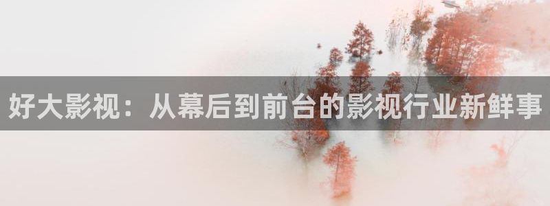 人人视频网址：好大影视：从幕后到前台的影视行业新鲜事