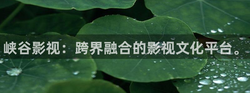 人人影院最新电影电视剧网