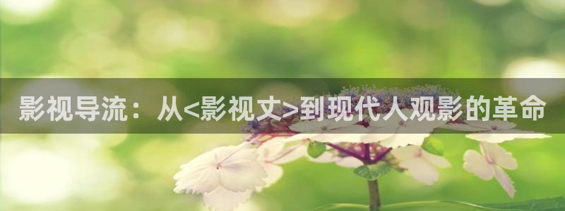 人人影院电影免费观看：影视导流：从<影视丈>到现代人观影的革命