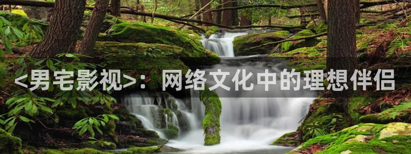 将夜2人人影院：<男宅影视>：网络文化中的理想伴侣