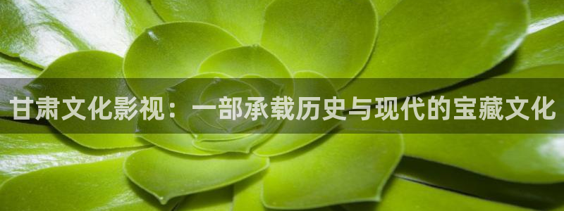 人人影视：甘肃文化影视：一部承载历史与现代的宝藏文化