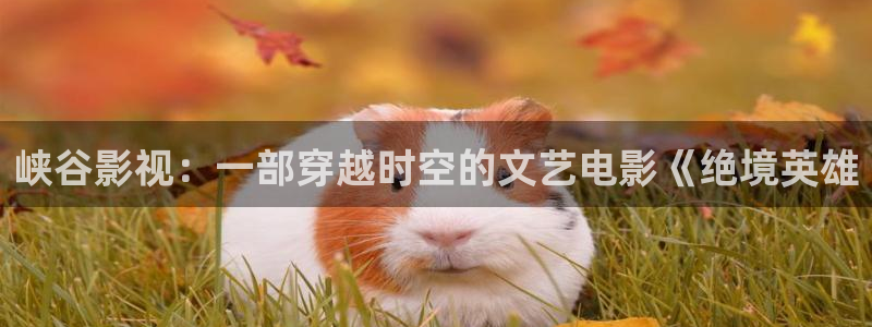 人人影院.：峡谷影视：一部穿越时空的文艺电影《绝境英雄