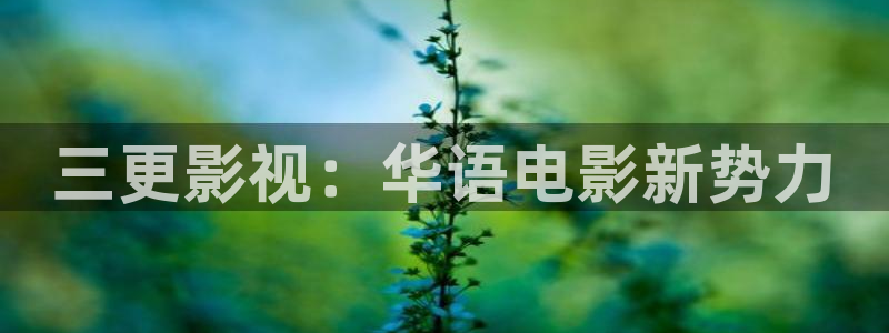 人人干人人影院片：三更影视：华语电影新势力