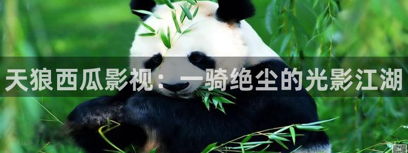 人人影院电影网：天狼西瓜影视：一骑绝尘的光影江湖