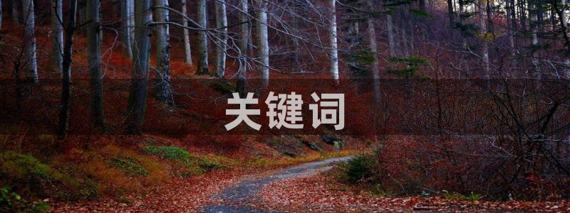 人人影视首页：关键词