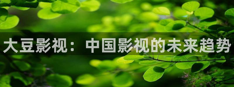 人人影院视频：大豆影视：中国影视的未来趋势