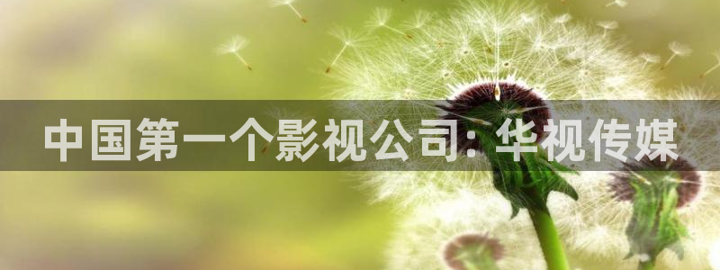 人人影视网站：中国第一个影视公司: 华视传媒
