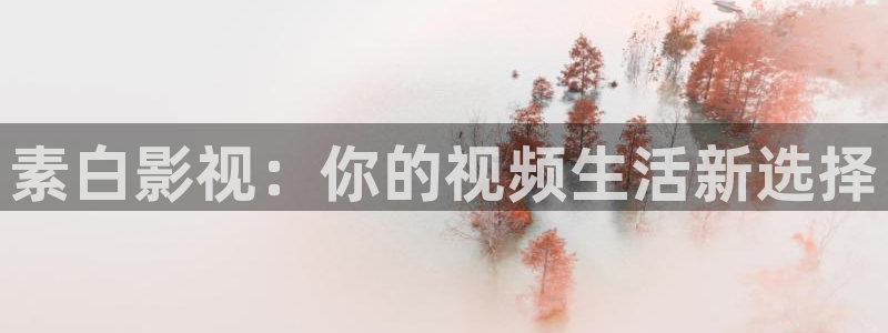 人人视频电视端：素白影视：你的视频生活新选择