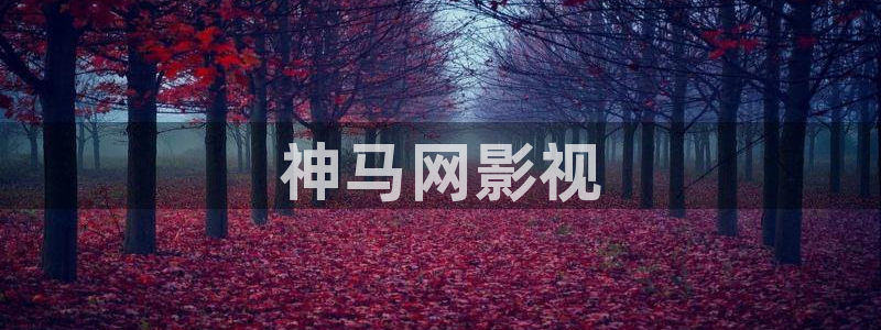 人人视频网址