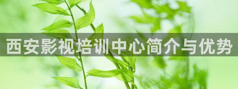 人人影视在线：西安影视培训中心简介与优势
