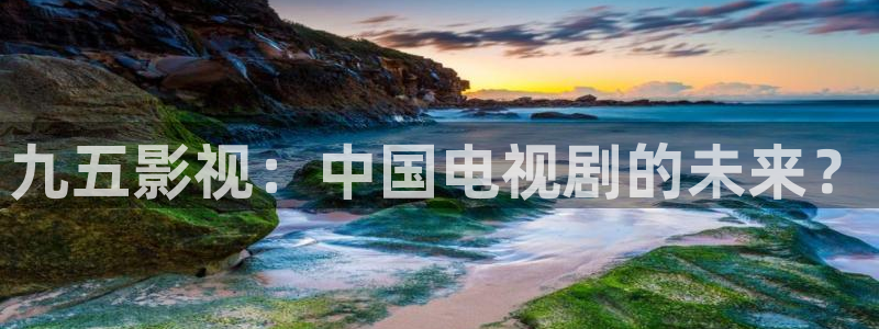 私人人影院：九五影视：中国电视剧的未来？
