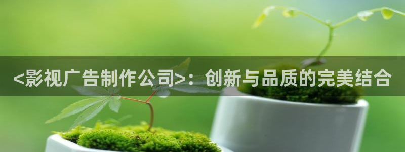 人人影院在线观看：<影视广告制作公司>：创新与品质的完美结合