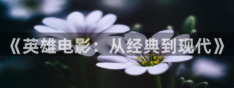 人人影片：《英雄电影：从经典到现代》