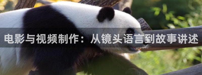人人影院免费观看：电影与视频制作：从镜头语言到故事讲述