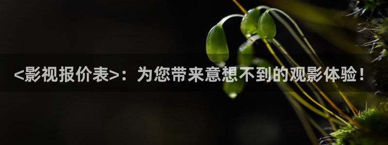 人人视频网页：<影视报价表>：为您带来意想不到的观影体验！