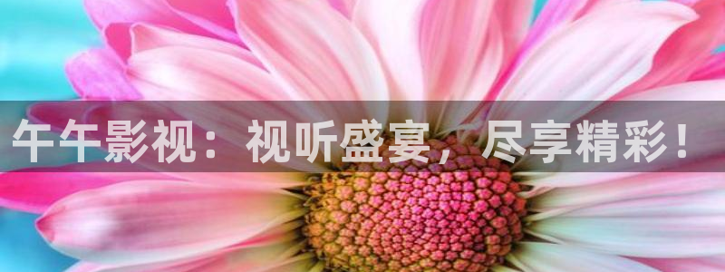 人人影视免费追剧