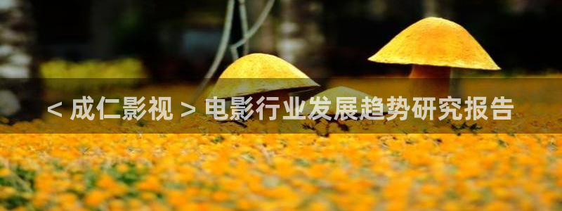 人人视频app：< 成仁影视 > 电影行业发展趋势研究报告