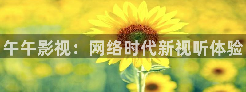 人人人影院：午午影视：网络时代新视听体验