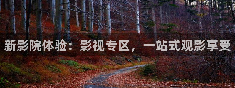人人视频电脑版：新影院体验：影视专区，一站式观影享受