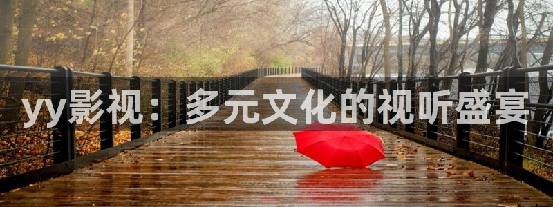 理论片人人影院：yy影视：多元文化的视听盛宴