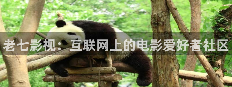 人人视频下载：老七影视：互联网上的电影爱好者社区