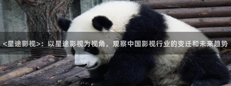 人人影院app下载：<星途影视>：以星途影视为视角，观察中国影视行业的变迁和未来趋势