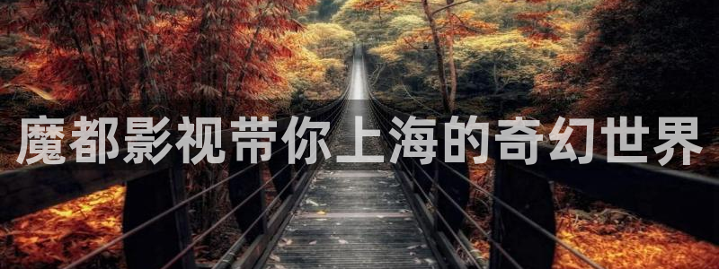 理论片人人影院