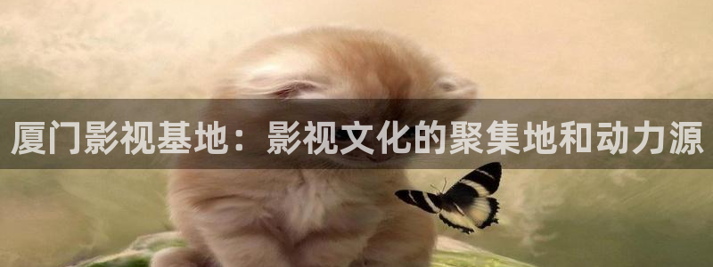 人人视频电视端：厦门影视基地：影视文化的聚集地和动力源