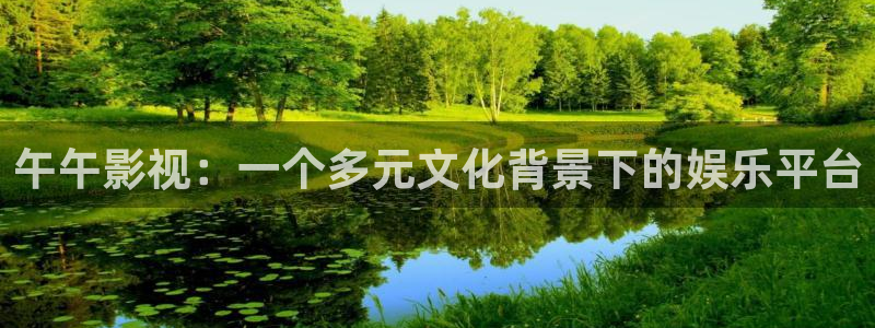 人人影视大全：午午影视：一个多元文化背景下的娱乐平台