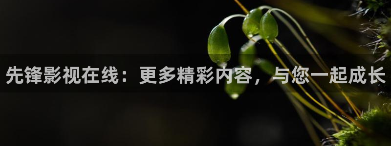 人人影院,：先锋影视在线：更多精彩内容，与您一起成长