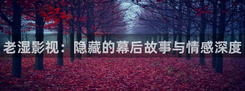 人人影院：老湿影视：隐藏的幕后故事与情感深度