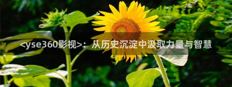 人人影剧院：<yse360影视>：从历史沉淀中汲取力量与智慧
