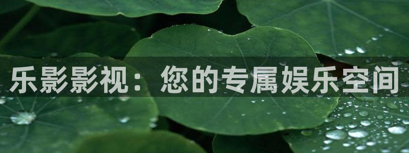 人人影院电影网：乐影影视：您的专属娱乐空间