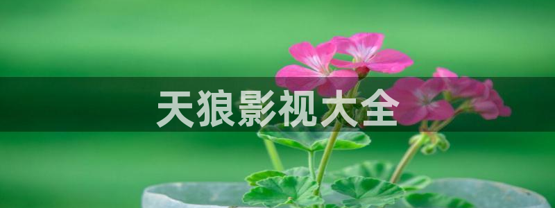 人人影院日韩最新：天狼影视大全