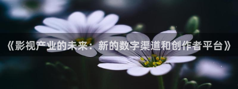 人人影院.：《影视产业的未来：新的数字渠道和创作者平台》
