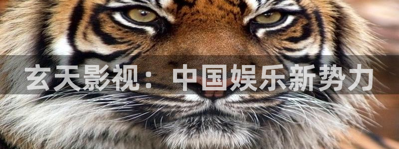 人人影院伦理：玄天影视：中国娱乐新势力
