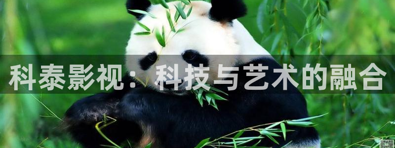 人人影视首页：科泰影视：科技与艺术的融合