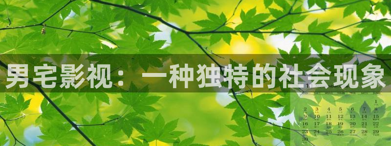 人人影院1024：男宅影视：一种独特的社会现象