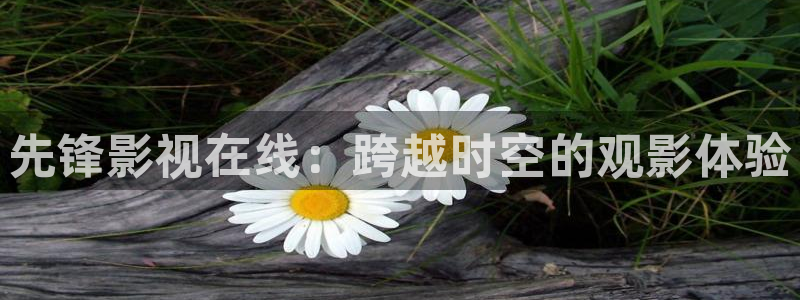 人人影院官网：先锋影视在线：跨越时空的观影体验