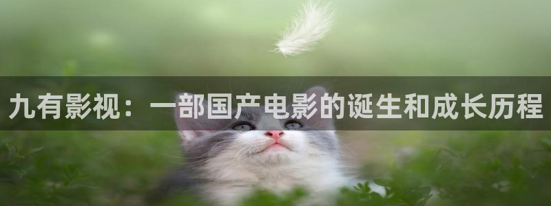 人人影院电影大全：九有影视：一部国产电影的诞生和成长历程